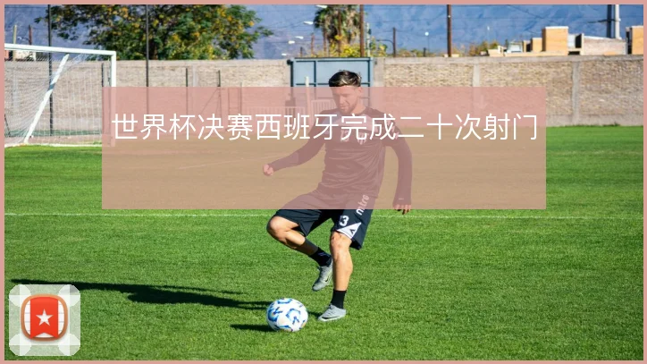 世界杯决赛西班牙完成二十次射门